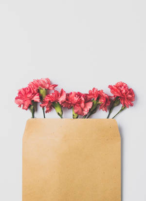 Små og søde lyserøde blomster tapet. — Oppo Pad 5 Pro Wallpapers