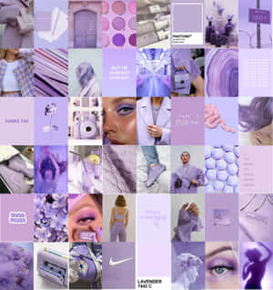 Lilla collage — Lilla æstetisk GIF Wallpapers