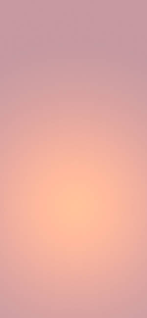 Ferskenfarvet Enkel iPhone — Blomstret iPhone Wallpapers