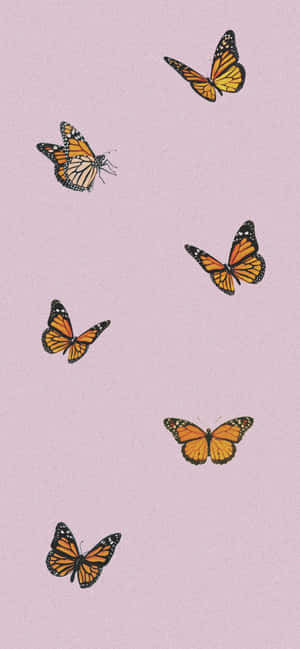 Vsco Sommerfugl — Galaxy S25 Wallpapers