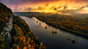 Flod- og skovudsigt baggrund — Skovudsigt Wallpapers