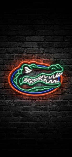 Florida Gators Logo I Neonlys tapet — iPhone 11 Pro Wallpapers