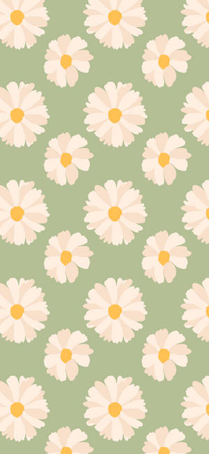 Forår Iphone Margueritter Grøn Baggrund — iPhone 18 Pro Max Wallpapers