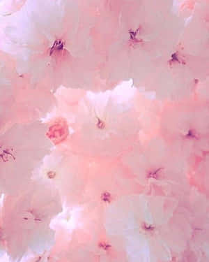 Pastel lyserøde æstetiske billeder — Pastel pink æstetik Wallpapers