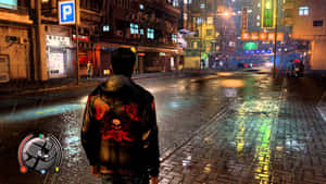 Sleeping Dogs baggrund