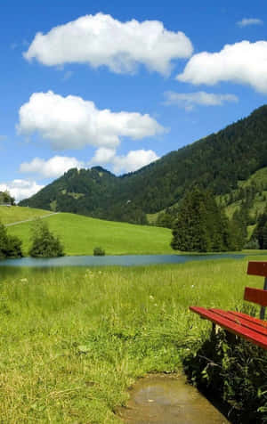 Natur Android Hd — Moto Pad (2026) Wallpapers