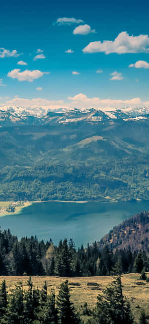 Fortryllende naturskønhed på iPhone X-baggrund — iPhone 15 Wallpapers