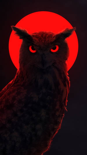 Neonmåne Rød Ugle wallpaper — Sød ugle Wallpapers