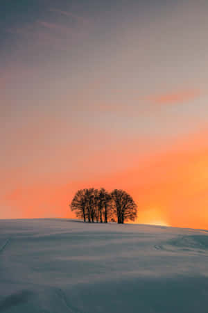 iPhone Baggrund — Honor Pad GT2 Pro Wallpapers