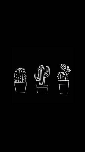 Fortryllende sort killing med blå øjne — Sød sort Wallpapers
