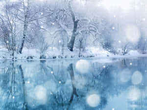 Vinter sne baggrund — Vinteræstetik Wallpapers