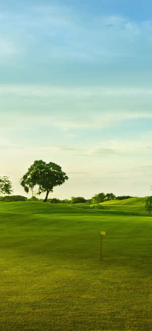 Iphone X Golfbane Baggrund — Google Pixel 6 Pro Wallpapers