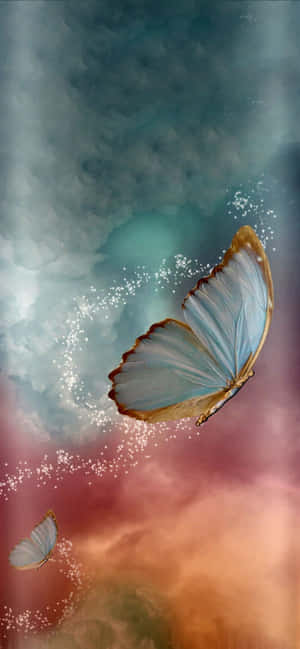 1284x2778 — 1284x2778 Wallpapers