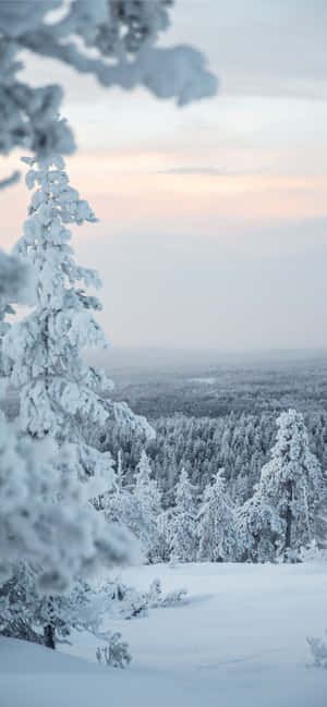 Sne baggrund — Solopgang Wallpapers