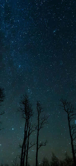 Fremtiden for mobilteknologi - iPhone 13 Mini — iPhone 14 Pro Wallpapers