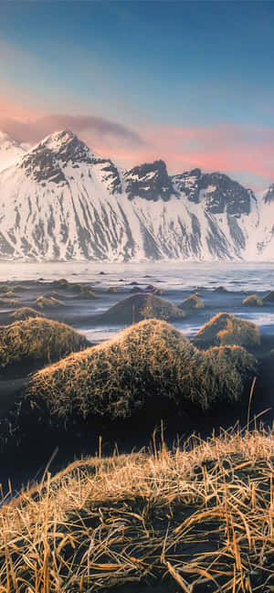 Natur Vertikal — Xiaomi 17 Wallpapers