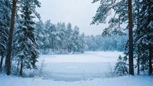 Sneklædt skov og frossen sø i et ultrabredt vinterlandskab.