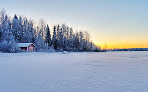 Baggrundsbillede af frossen sø i kold vinter — Kold Wallpapers
