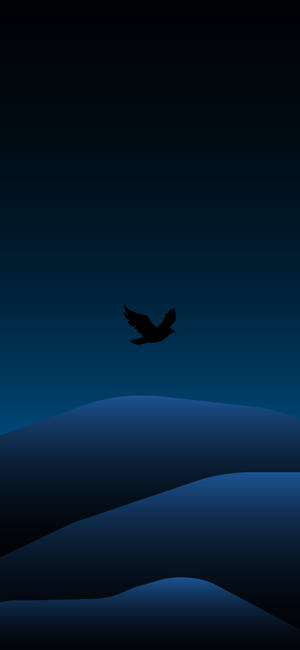 Fugl Og Landskab Minimal Mørk Iphone — iPhone 12 Wallpapers