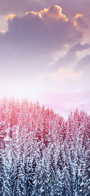 Iphone Xs Max Vinterbaggrund — iPhone 15 Wallpapers