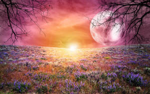 Galaktisk måne og blomstereng tapet — Galakse måne Wallpapers