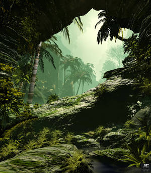 Frodige palmetræer tåget jungle baggrund. — Vivo X Fold Wallpapers
