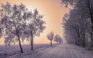 Glat isvej gennem et malerisk snelandskab — 2880x1800 Wallpapers