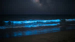 4K nathav, blå bølger om natten, nathav tapet, Mælkevejsstrand, glødende strand, bioluminescerende bølger, Natur 4k, Natur, Strand, Havbaggrund, Hav