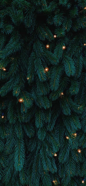 Jule-iPhone-baggrund — Pixel 11 Pro Wallpapers
