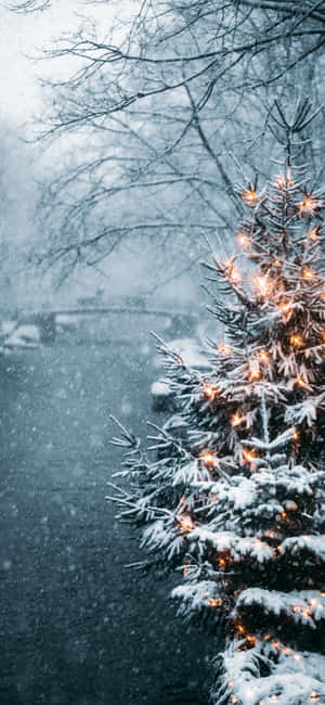 Jule iPhone baggrund — Huawei Wallpapers
