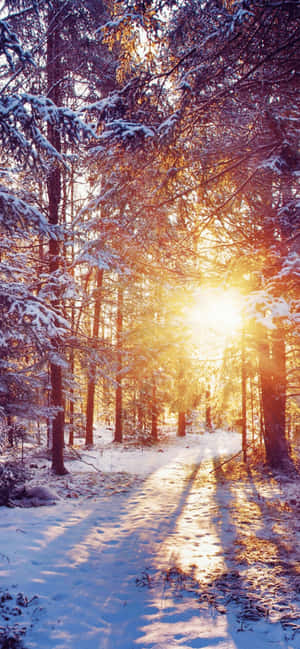 Iphone Xs Max Vinter Baggrund — Oppo Reno16 Wallpapers