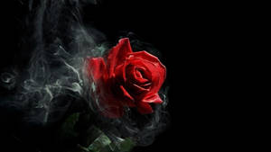 Gotisk røg-rose æstetik