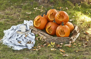Halloween græskar billeder — Uhyggelig halloween Wallpapers