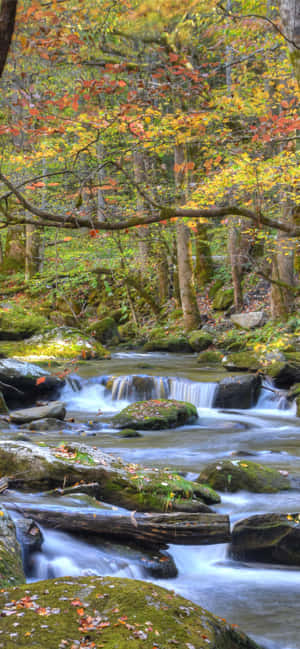 Great Smoky Mountains National Park River Rocky — Vivo X500 Wallpapers
