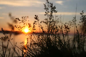Smukke solnedgangsbilleder — Smuk solnedgang Wallpapers