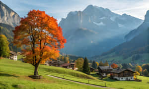 Landsbybilleder, Træ, Bjerg, Bjergæstetiske billeder, Natur, Natur 4k, Naturlige skønhedsbilleder, Naturlig, Landskabsbilleder — Natur Wallpapers