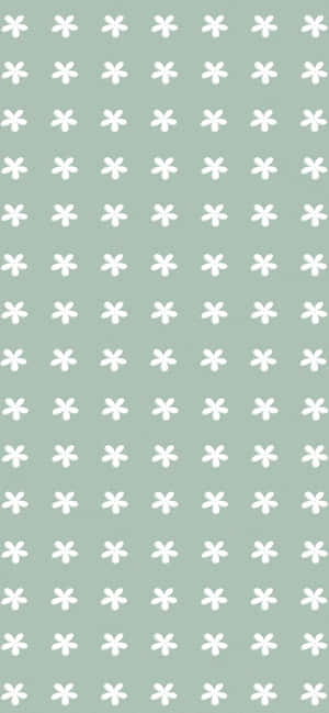 Grøn æstetisk baggrund — iPhone 14 Pro Wallpapers