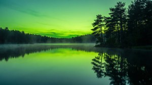 En fredelig sø spejler en levende grøn himmel, indrammet af fyrretræer og tåge. — Grøn himmel Wallpapers