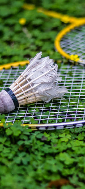Pixel 3 Badmintonbaggrund — Pixel 3 Wallpapers