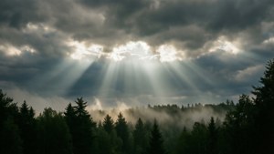 Solstråler bryder gennem skyer over en tåget skov. — Himmeludsigt Wallpapers