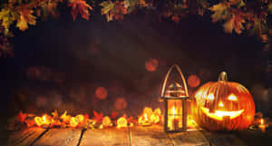 Halloween efterårsbilleder — Halloween GIF Wallpapers