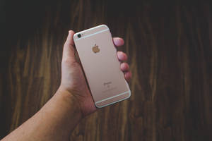 Hånd der holder roseguld iPhone 6 tapet — iPhone Se Wallpapers
