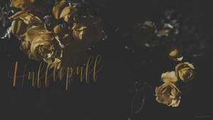 Harry Potter Aestetisk Hufflepuff — Harry potter æstetik Wallpapers