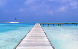 Havudsigtspir tapet — Havudsigt Wallpapers