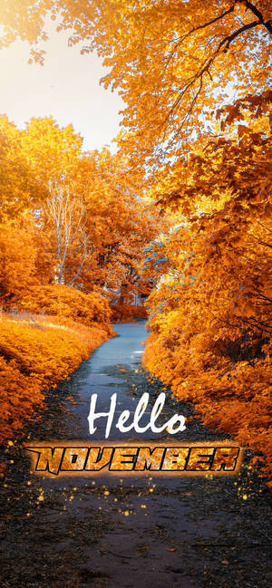 Hej November gul havegang tapet — iPhone 12 Pro Wallpapers