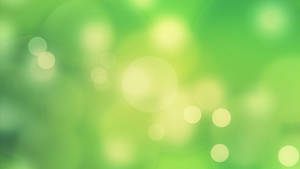 Helt lysegrøn bokeh — Grøn æstetik Wallpapers