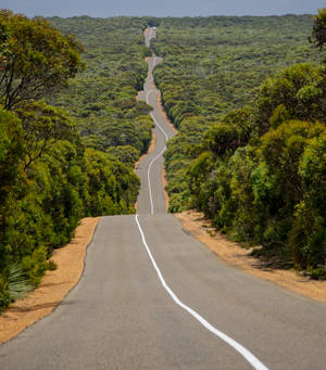 Highway 1 I Australien wallpaper — Motorola Razr Fold Wallpapers