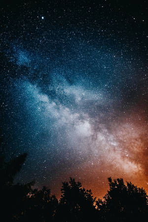Højopløselig stjerne og træer — Xiaomi Pad 7 Ultra Wallpapers