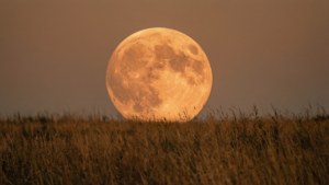En orange høstmåne kastede et varmt skær over en tør græsmark. — Måne Wallpapers