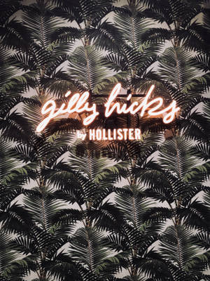 Hollister palmetræsblade tapet — 3:4 Wallpapers
